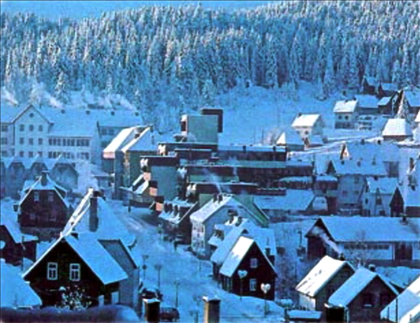 A Snowy Day In Zabljak